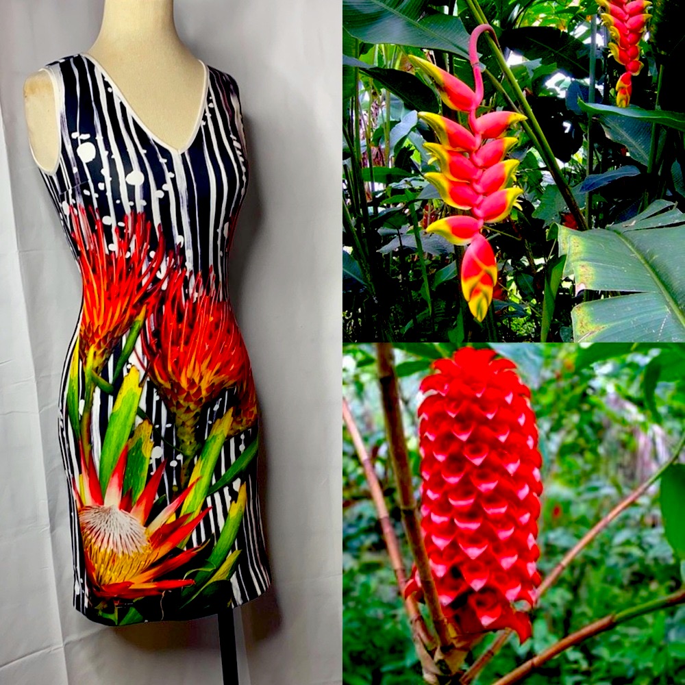 Clover Canyon Scuba Bird Of Paradise Dress